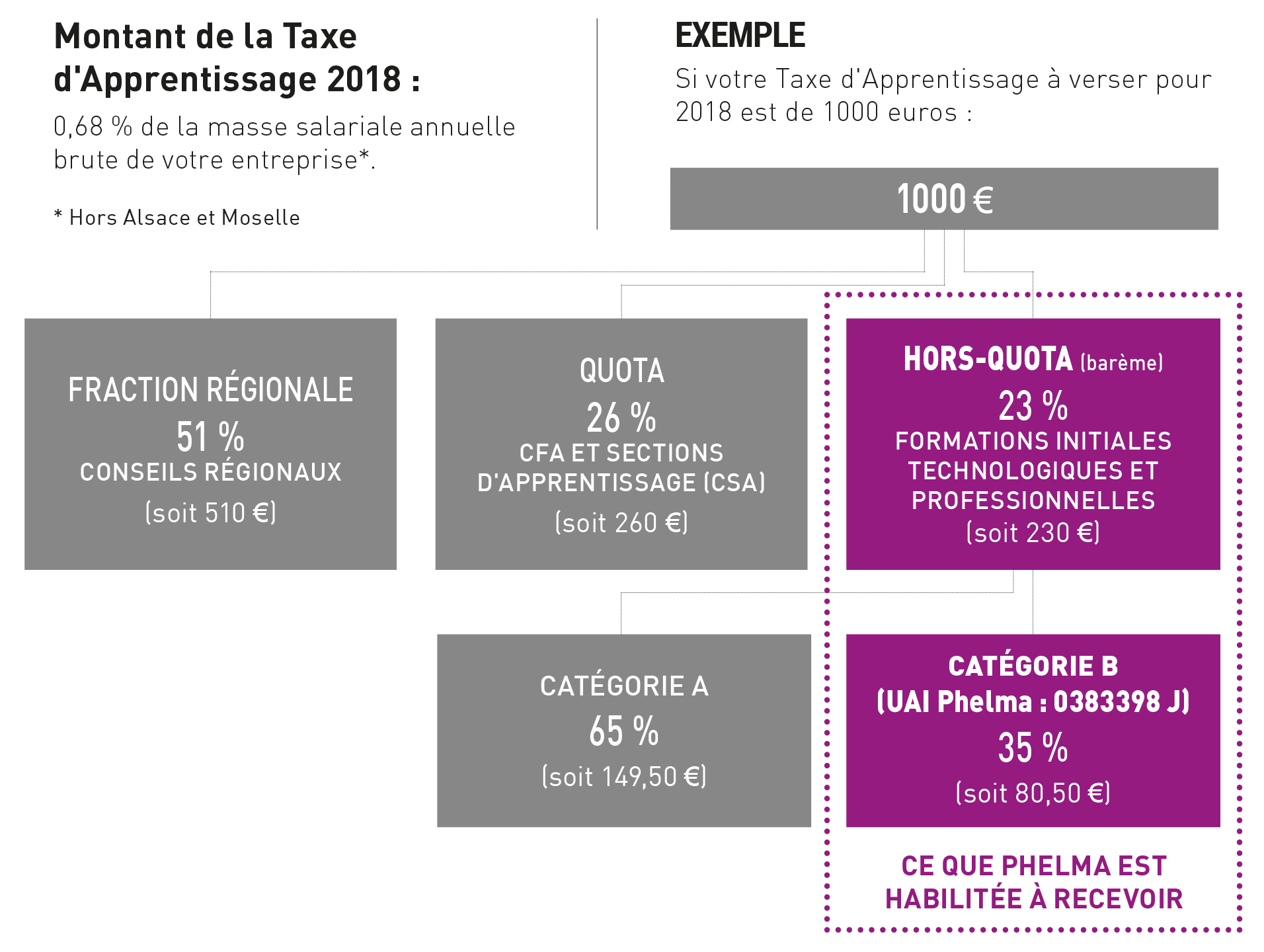 Entreprise Assujettie à La Taxe D Apprentissage