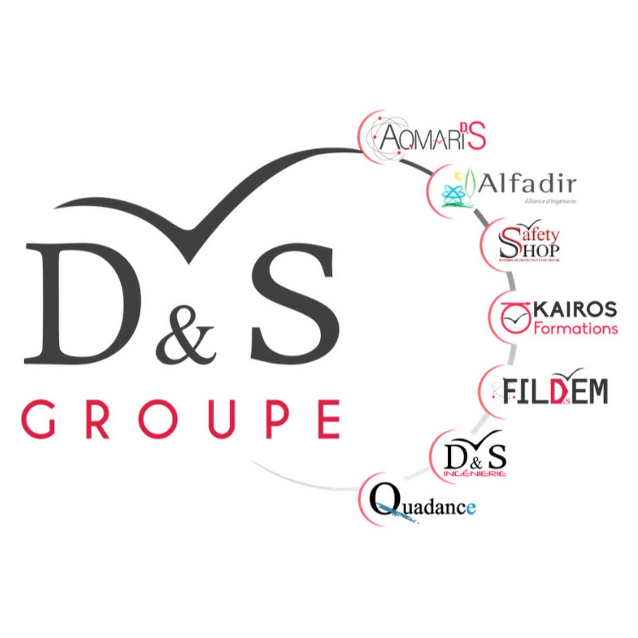 D&S Eviden Logo