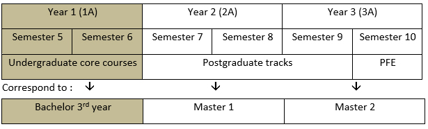 Course organization Phelma